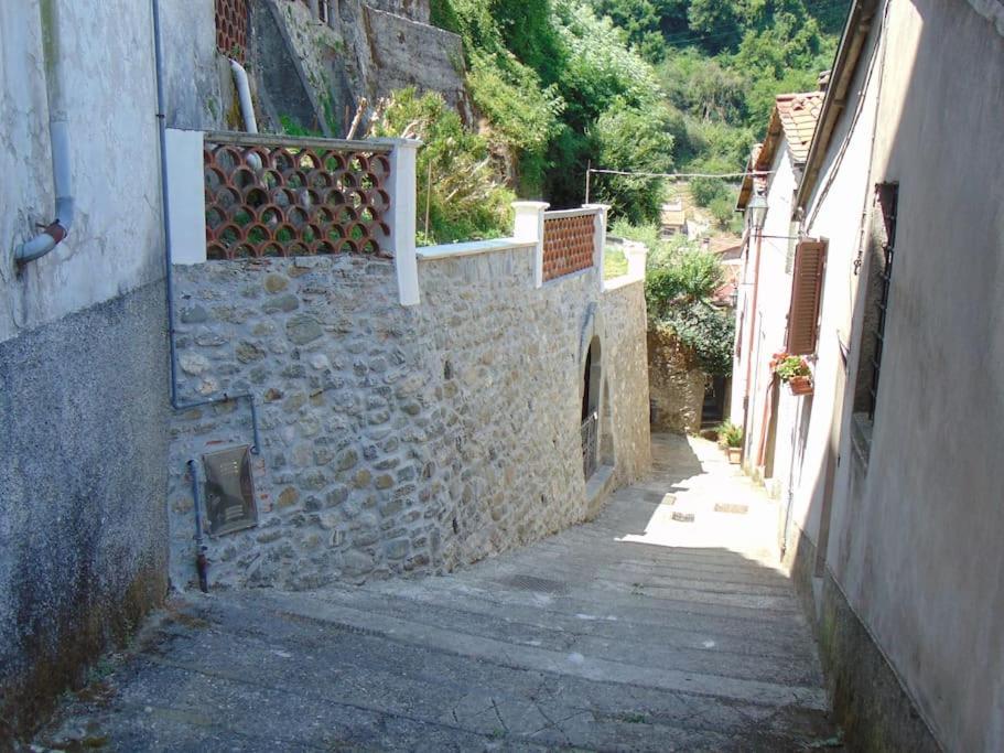 Rustico San Jacopo Villa Gallicano Luaran gambar