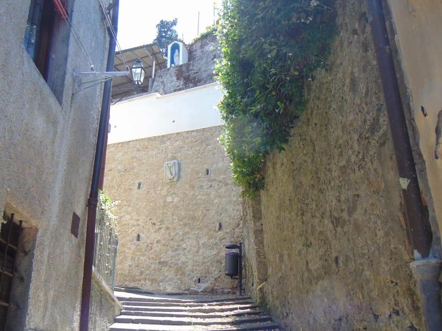 Rustico San Jacopo Villa Gallicano Luaran gambar